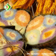 800x800  (2026) (54)