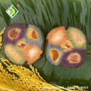 800x800  (2026) (56)