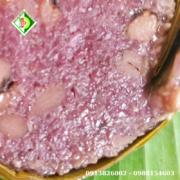 800x800  (2026) (52)