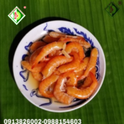 800x800  (2026) (87)