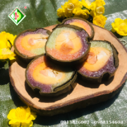 800x800  (2026) (39)