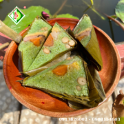 800x800  (2026) (48)