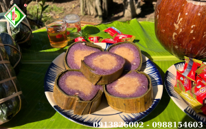 800x800 (2026) (300 x 188 px)